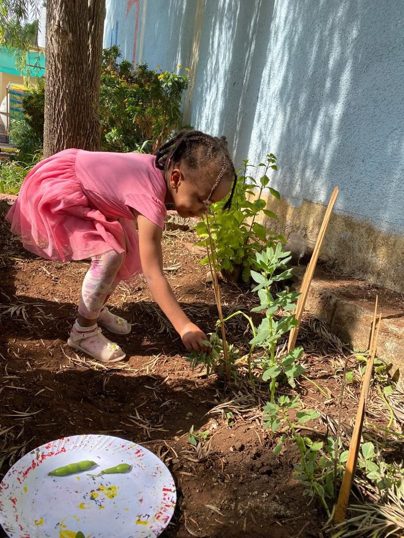 A young girl in a pink dress carefully planting a seedling in a school garden